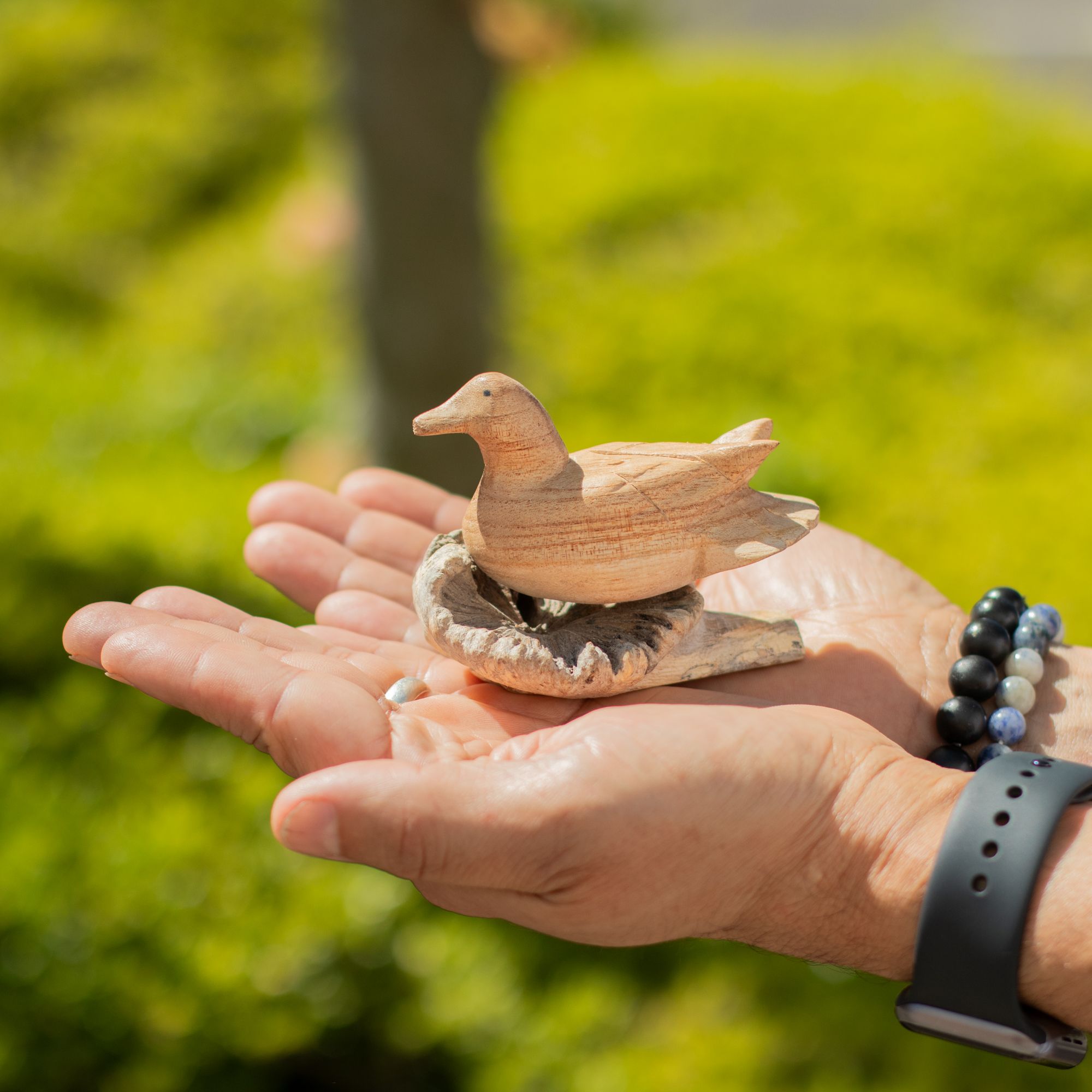 Wild Duck Resting - Parasite Wood Art Carving