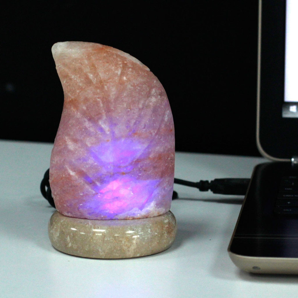 USB Leaf Shaped Himalayan Salt Lamp (Multi)