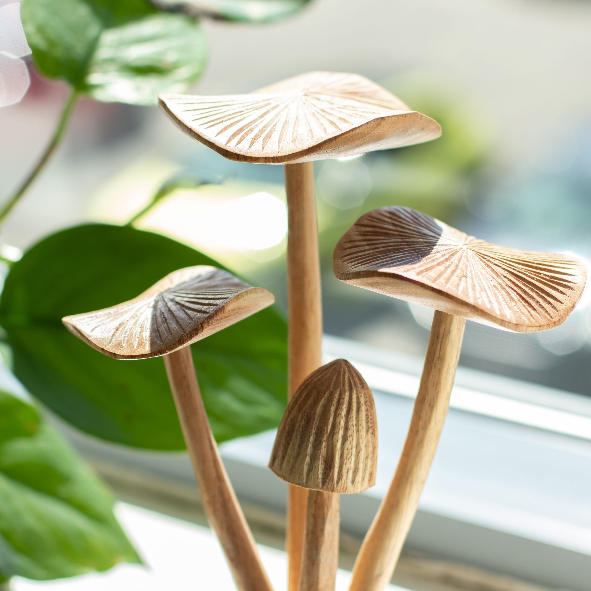 Large Mushrooms (set of 4) - Parasite Wood Art Carving