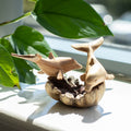 Dolphins in Play - Parasite Wood Art Carving
