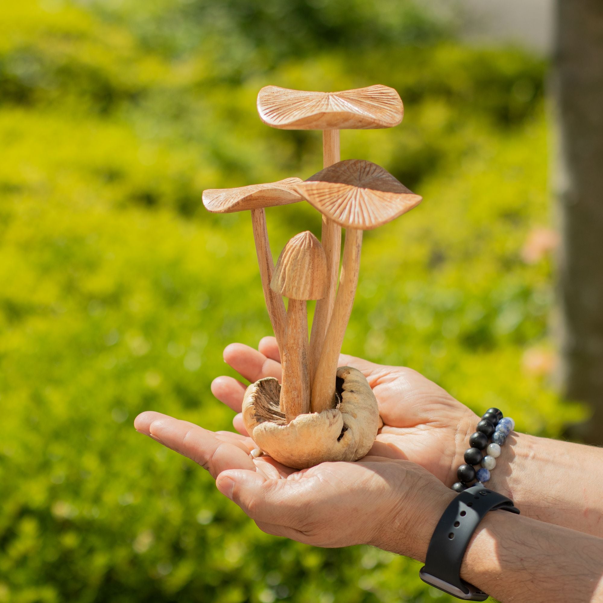 Large Mushrooms (set of 4) - Parasite Wood Art Carving