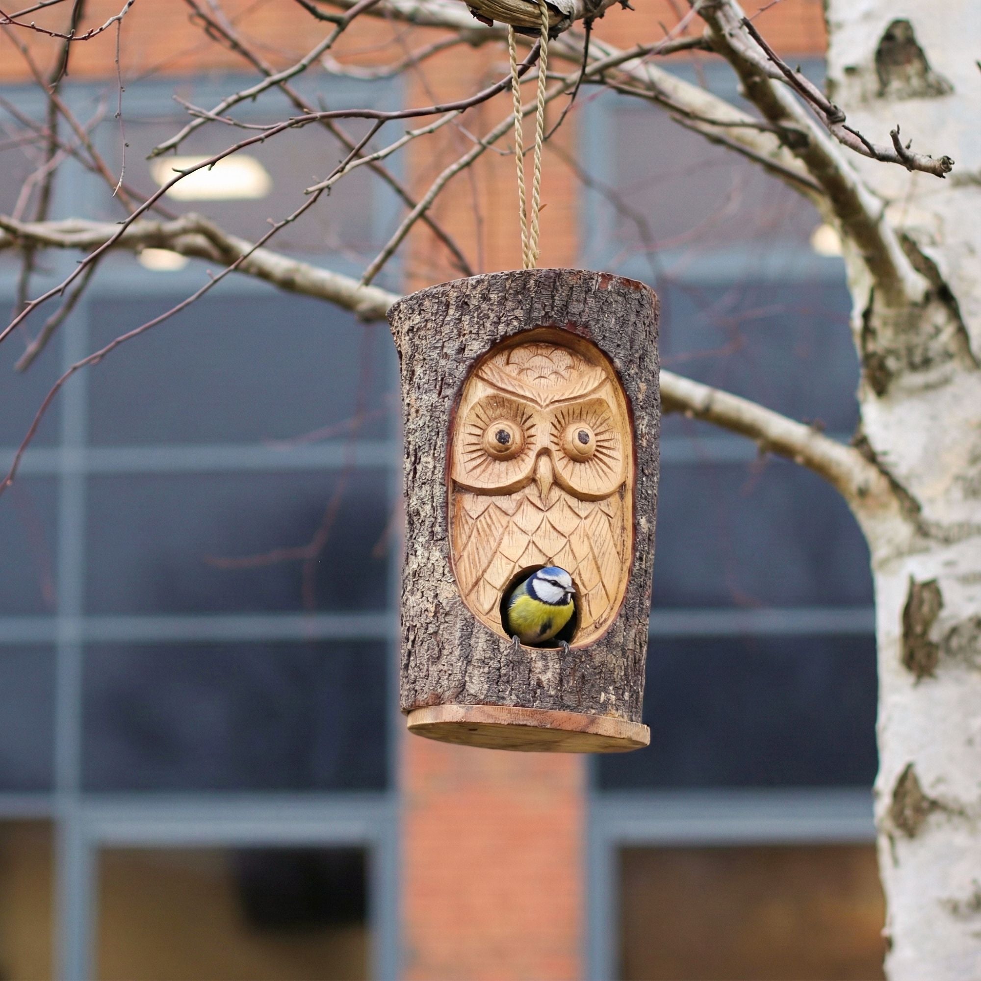 Rustic Wooden Bird House – Hand Carved Wise Owl