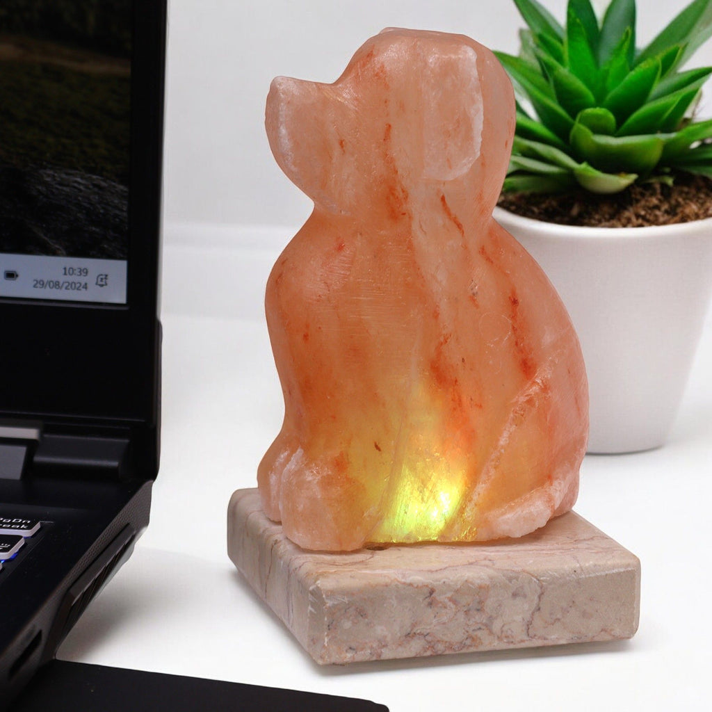 USB Dog Shaped Himalayan Salt Lamp (Multi)