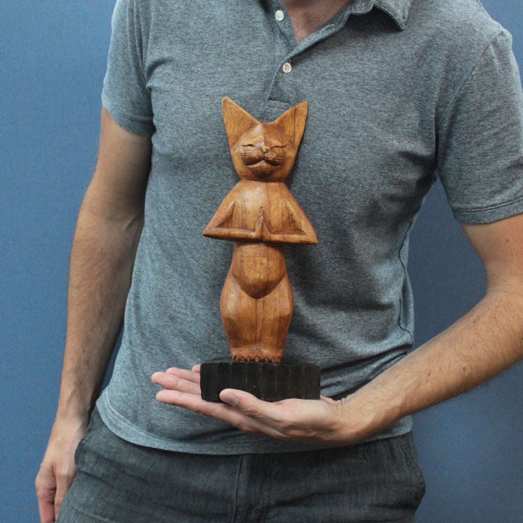 Yoga Cat - Standing position