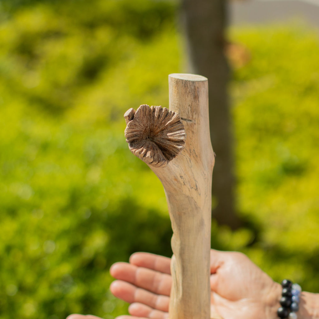 Greenman - Parasite Wood Art Carving