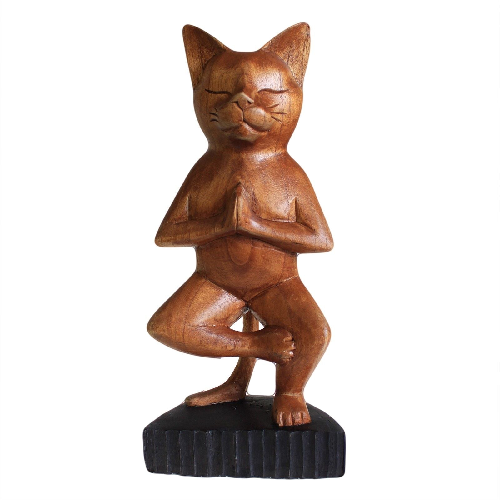 Yoga Cat - One Leg position